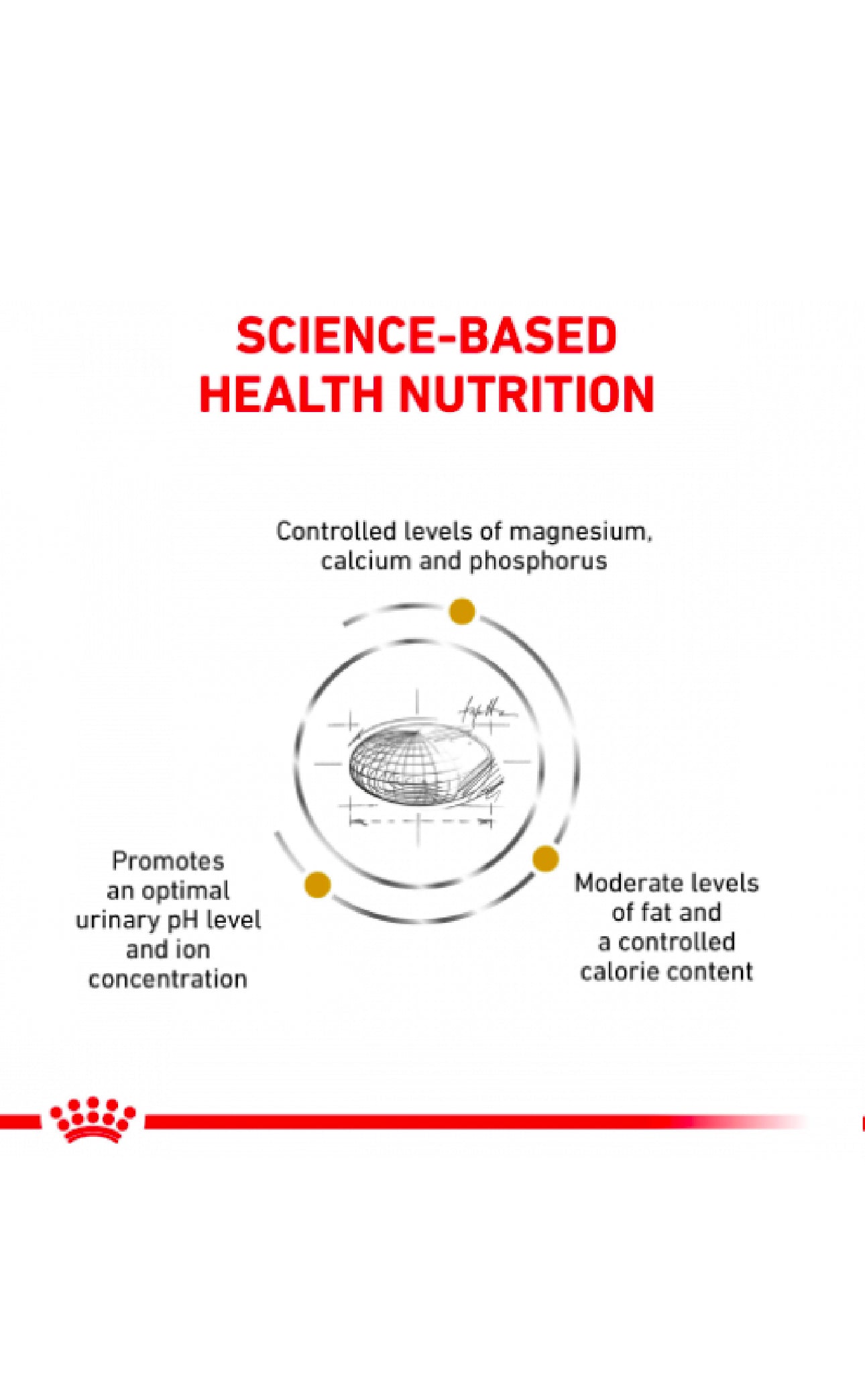Royal Canin Cat Urinary 2Kg