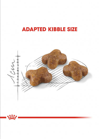 Royal Canin Kitten 400g